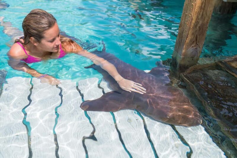 Nassau: Discover Exuma Island Hopping and Swimming Pigs Tour - Compass Cay and the Nurse Sharks