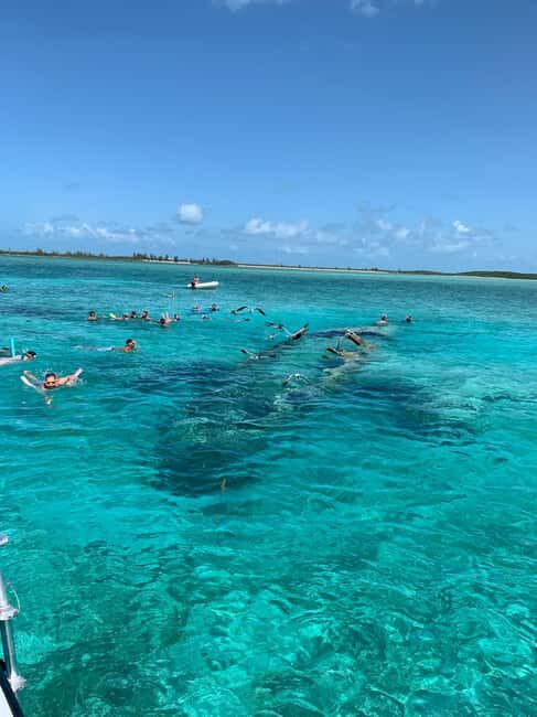 Nassau: Discover Exuma Island Hopping and Swimming Pigs Tour - The Pigs at Big Majors Cay