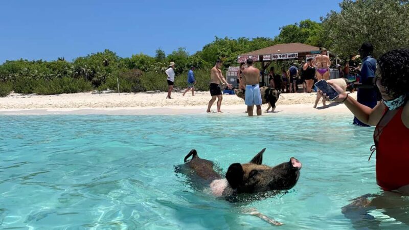 Nassau: Discover Exuma Island Hopping and Swimming Pigs Tour - Lunch Break in Exuma