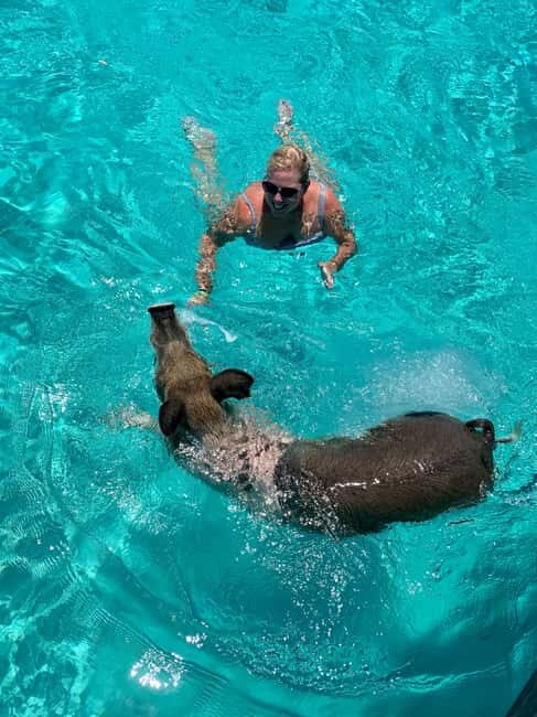 Nassau: Discover Exuma Island Hopping and Swimming Pigs Tour - Snorkeling the Pablo Escobar Plane Wreck