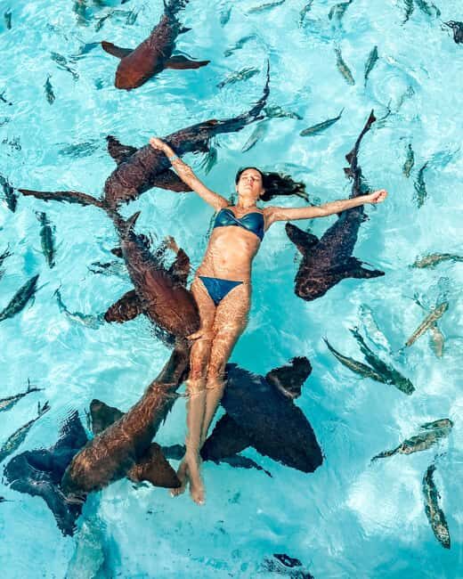 Nassau: Discover Exuma Island Hopping and Swimming Pigs Tour - The Sum Up