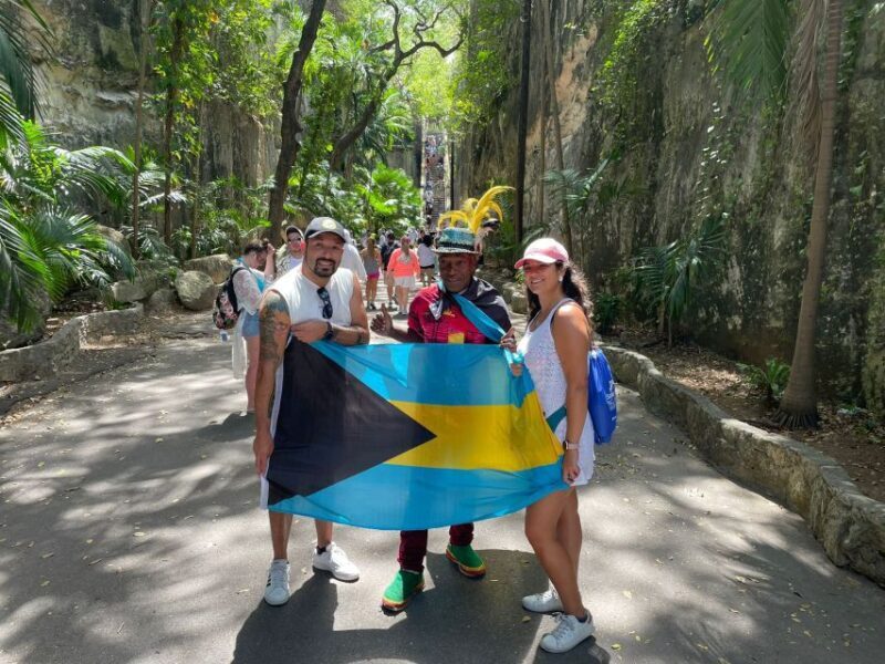 Nassau: E-Scooter Tour with Food Tasting and Local Drinks - Final Thoughts: Who Will Love This Tour?