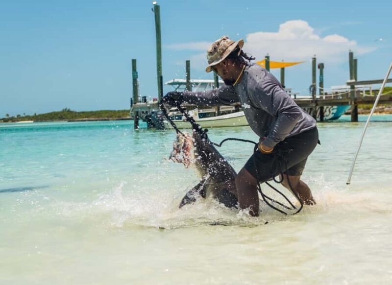 Nassau: Exuma Powerboat Day Trip - Food, Drinks, and Cultural Touches