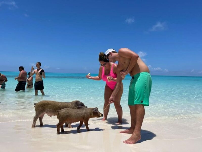 Nassau: Half-Day Guided Cay Cruise, Sea Life Watch & Snorkel - Final Thoughts: Who Will Love This Tour?