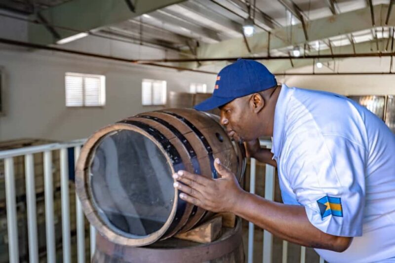 Nassau: Historical Sightseeing Guided Half-Day Tour - Key Points