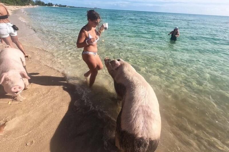 Nassau: Island Hopping Boat Trip with Lunch & Drinks - Frequently Asked Questions