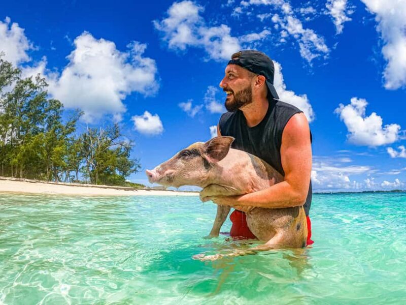 Nassau: Pigs Beach Trip by Boat with Swimming and Feeding - Key Points