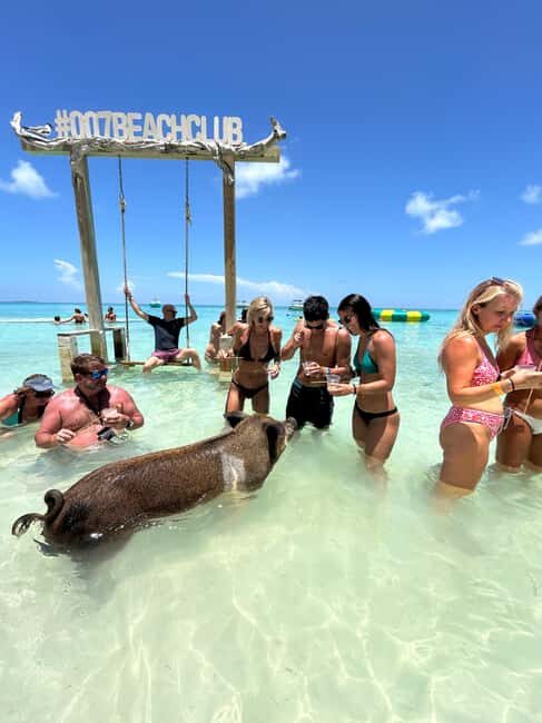 Nassau: Pigs, Snorkel, Turtles, Lunch, Private Beach Club - The Private Oasis Ocean 7 Beach Club