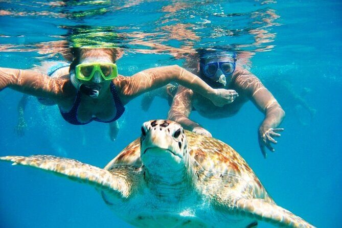 Nassau: Private Island & Snorkeling, Turtles, Drinks & BBQ - Key Points