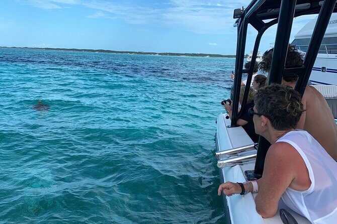 Nassau: Private Island & Snorkeling, Turtles, Drinks & BBQ - Who Will Love This Tour?