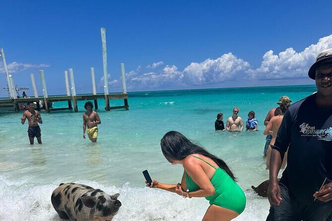 Nassau, Private Swimming Pig, Island Hopping, Snorkeling, Turtles - Introduction: Why This Tour Might Be Perfect for You