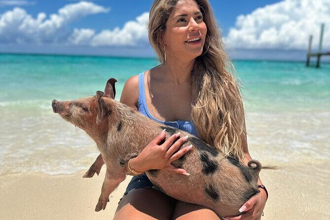 Nassau, Private Swimming Pig, Island Hopping, Snorkeling, Turtles - What’s Included and What You Should Budget For