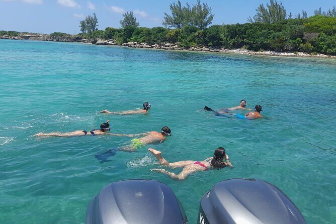 Nassau, Private Swimming Pig, Island Hopping, Snorkeling, Turtles - The Experience from the Travelers’ Perspective