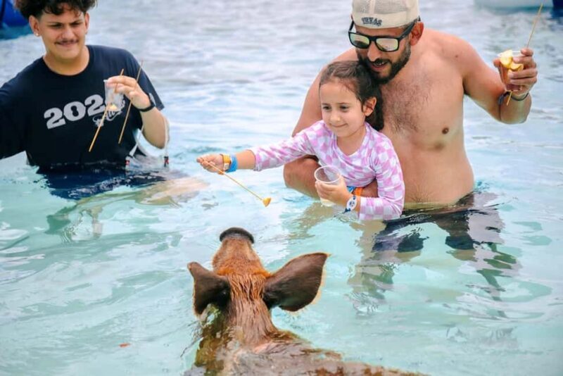 Nassau: Rose Island Swimming Pigs and Beach Day Group Tour - Key Points