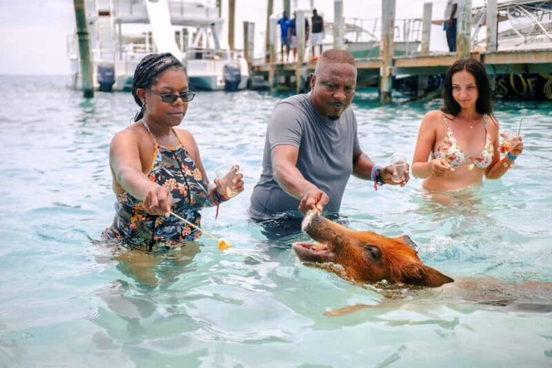 Nassau: Rose Island Swimming Pigs and Beach Day Group Tour - Final Thoughts