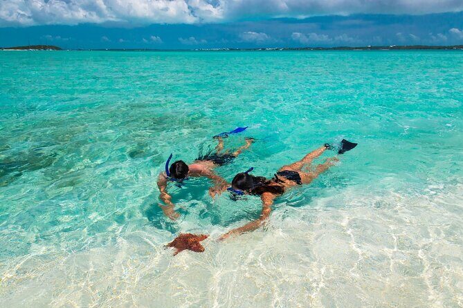 Nassau Sail & Snorkel Adventure with 1 Hour Open Bar - Key Points