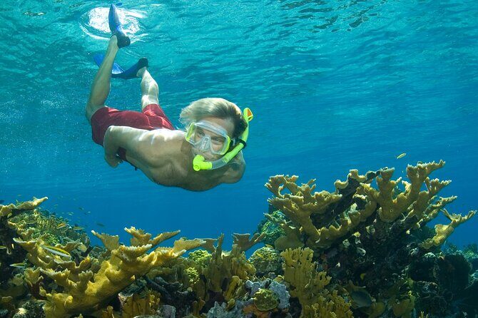 Nassau Shore Excursion: Bahamas Snorkel Adventure - Key Points