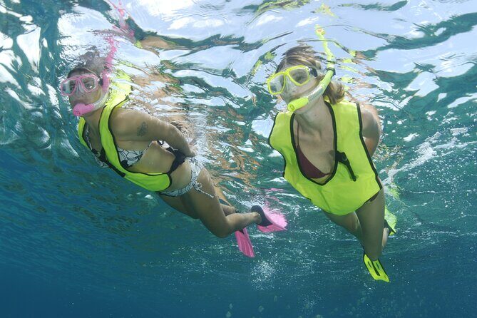 Nassau Shore Excursion: Bahamas Snorkel Adventure - Detailed Breakdown of the Bahamas Snorkel Adventure