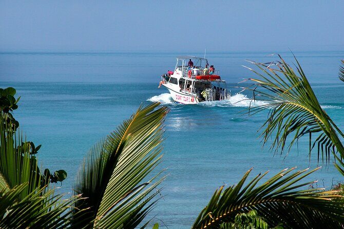 Nassau Shore Excursion: Bahamas Snorkel Adventure - FAQs