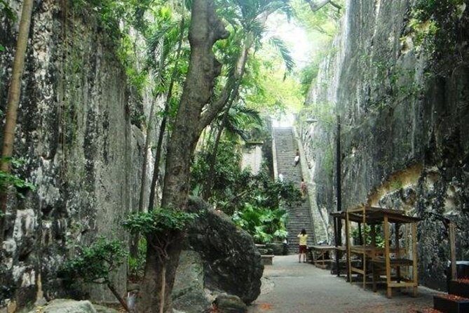 Nassau Shore Excursion: Half-Day Historical Sightseeing Tour - Key Points