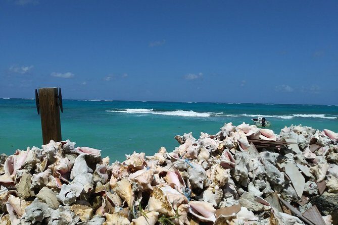 Nassau Shore Excursion: Sightseeing and Snorkeling Tour - FAQ