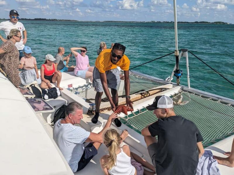 Nassau: Snorkeling, Pig Beach, Swim with Turtles, and Lunch - FAQ
