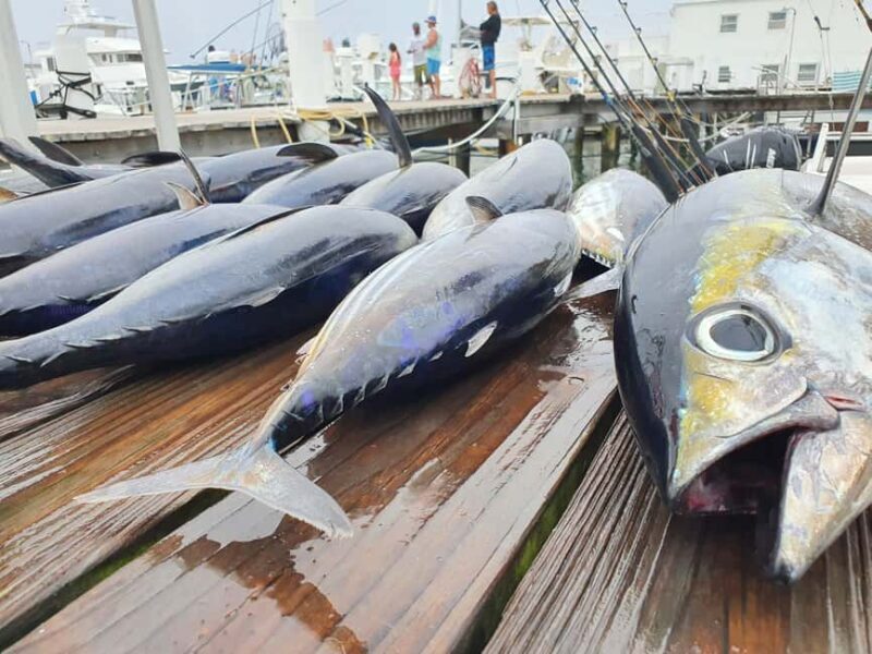 Nassau: Sport-fishing private charter . - Key Points