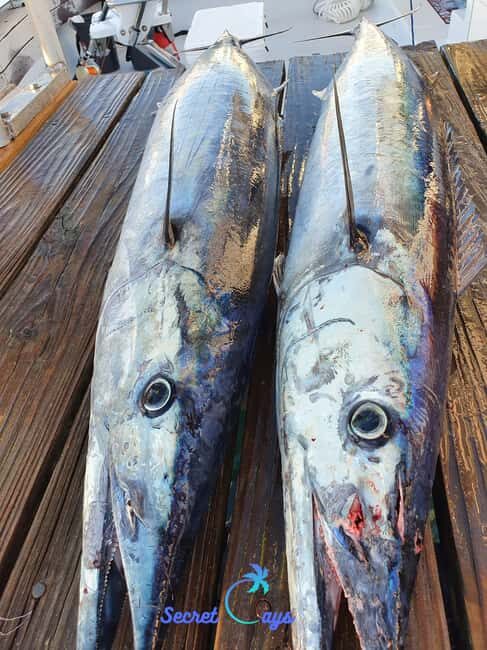 Nassau: Sport-fishing private charter . - Frequently Asked Questions