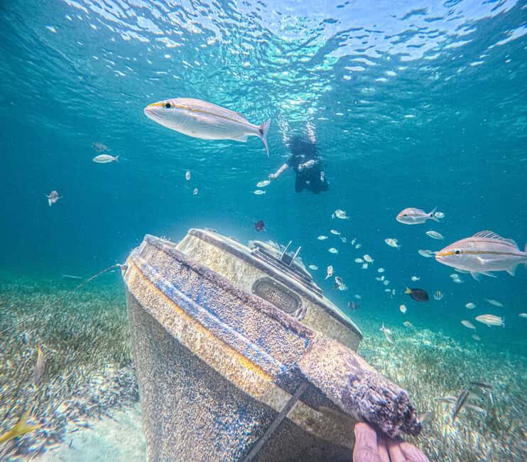 Nassau: Sun Cay Day Trip, Snorkel, Iguana Encounter, & Lunch - The Itinerary in Detail