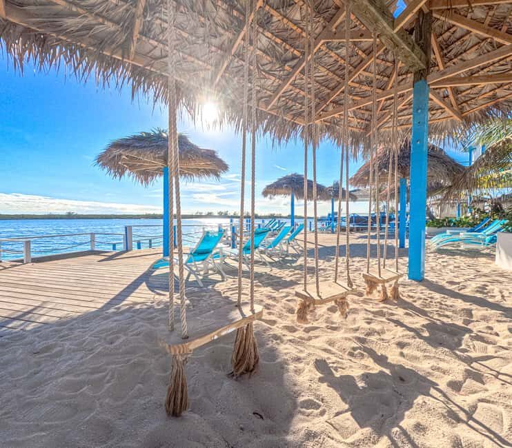 Nassau: Sun Cay Day Trip, Snorkel, Iguana Encounter, & Lunch - What’s Worth Noting