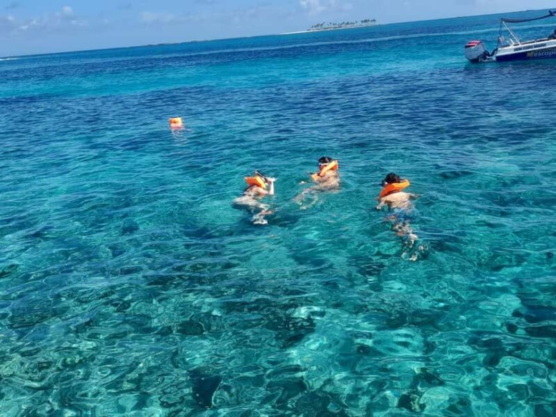 Nassau: Swimming Pigs Private Boat Tour - Up to 7 Persons - Nassau: Swimming Pigs Private Boat Tour - Up to 7 Persons