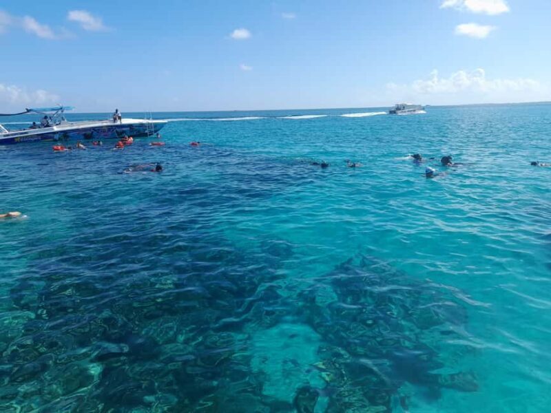 Nassau: Swimming Pigs Private Boat Tour - Up to 7 Persons - Key Points