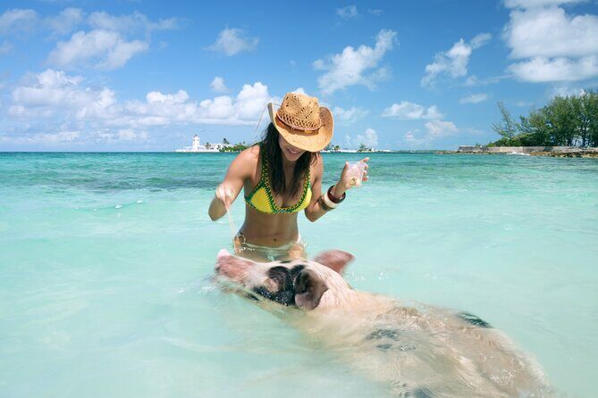 Nassau Swimming Pigs: Snorkeling, Lunch & Private Beach Club - An Honest Look at the Nassau Swimming Pigs Tour