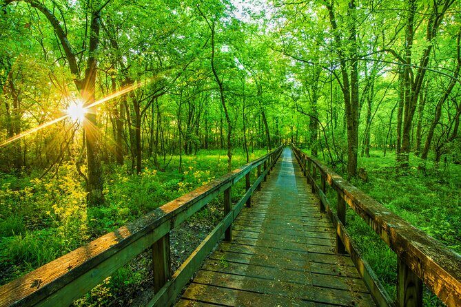 Natchez Trace Parkway Self-Guided Driving Audio Tour - The Sum Up