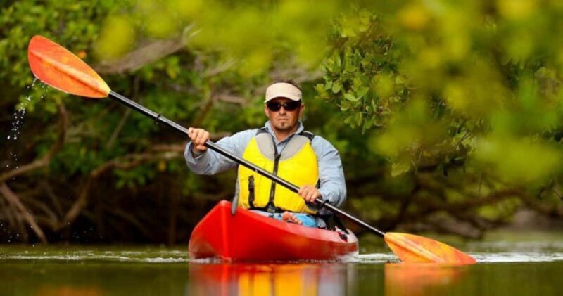 Natick: Lake Cochituate Single or Tandem Kayak Rental - How the Equipment and the Environment Enhance Your Experience