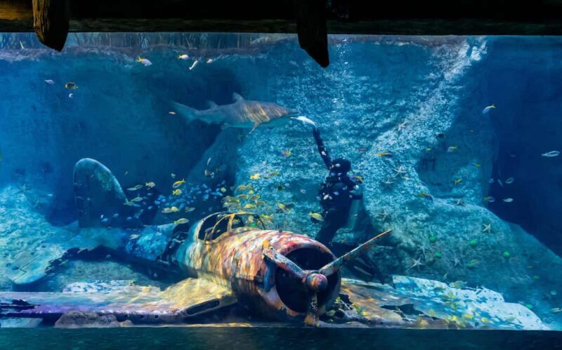 National Aquarium & Adrenark Adventure Combo Ticket - The Practicalities: What to Expect