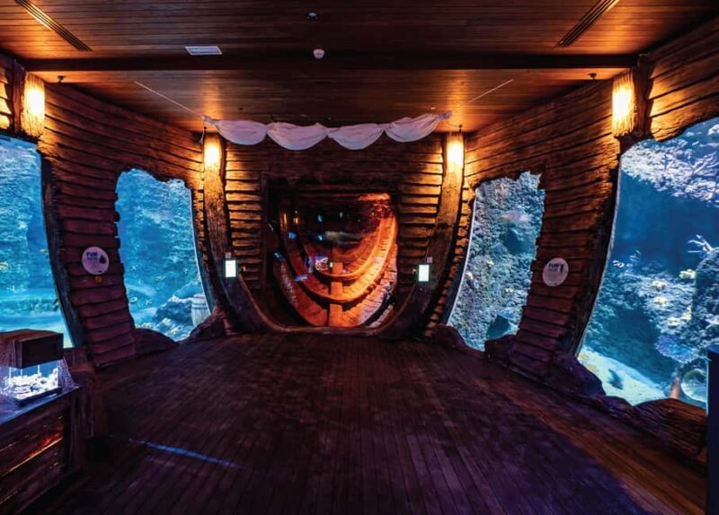 National Aquarium & Adrenark Adventure Combo Ticket - Final Thoughts: Who Will Love It?