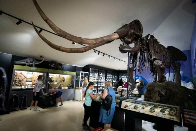 National Dinosaur Museum - Entry Ticket - Final Thoughts: Is It Worth Visiting?