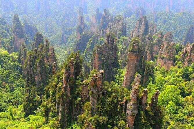 National Forest Park Avatar Mountain Day Tour - Practical Details