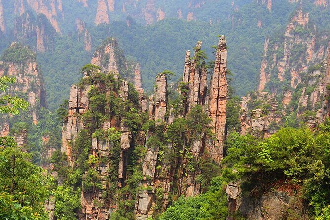 National Forest Park Avatar Mountain Day Tour - Who is This Tour Best For?