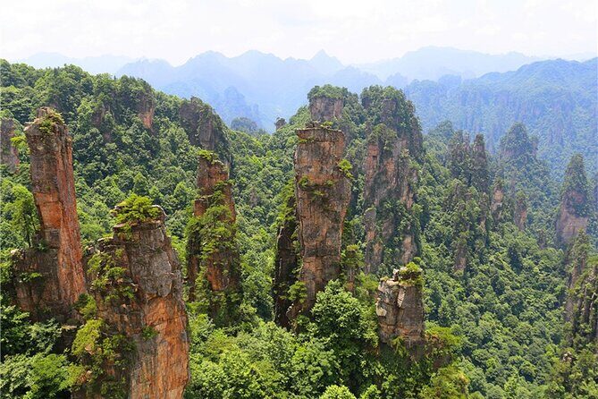 National Forest Park Avatar Mountain Day Tour - FAQ