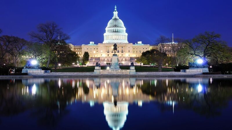 National Mall Tour w/ Washington Monument Semi-Private 12ppl - Post-Tour Access to the Washington Monument