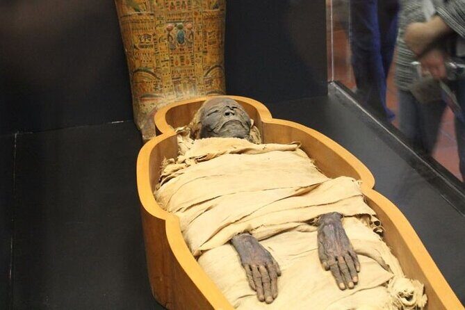 National Museum of Egyptian Civilization Private Guided Tour - Value of the Tour