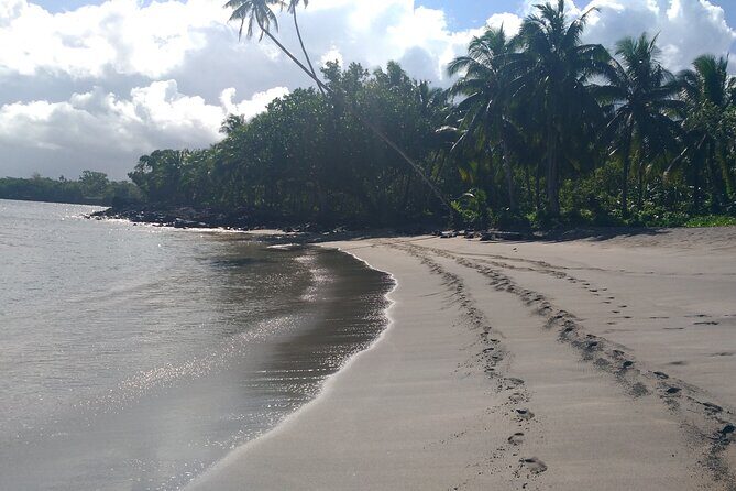 National Park Lava Cliffs and Black Sand Beach - The Value of the Experience