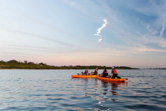 National Park Pedal Kayak Tours in New Smyrna Beach - Who Will Love This Tour?
