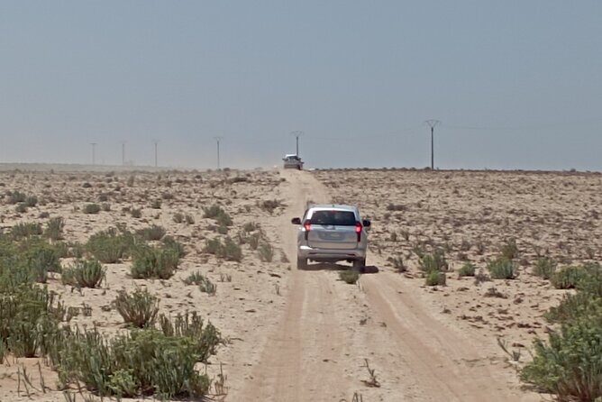 National Park & Sahara Day trip with Food - Authentic Experiences and Traveler Feedback