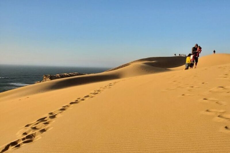National park & Sahara Desert with Lunch and Camel Ride - Key Points