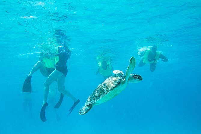 National Park Snorkeling Excursion - Exploring the National Park Snorkeling Excursion: A Complete Guide