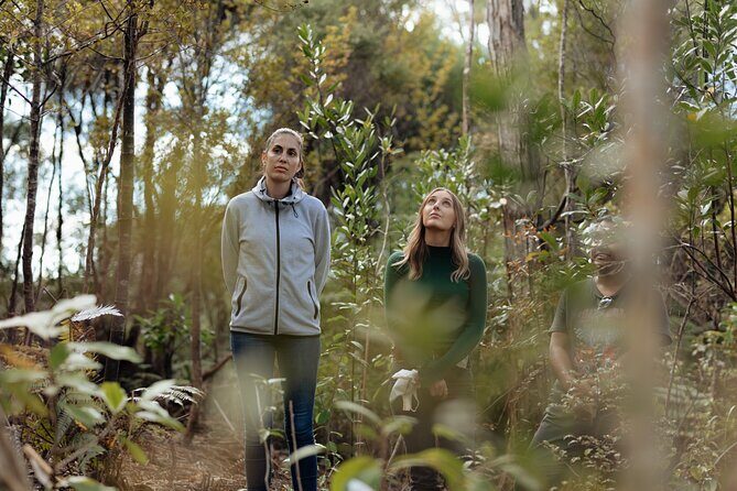 Native Forest Farm Experience Nourishing Nature in Auckland - A Closer Look at the Experience