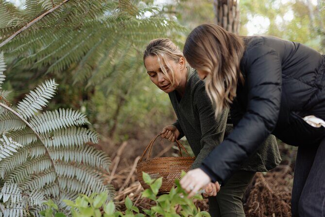 Native Forest Farm Experience Nourishing Nature in Auckland - Who Should Consider This Tour?